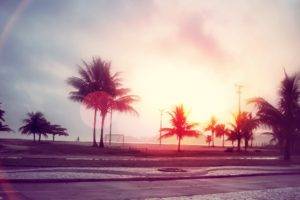 street, Sunlight, Palm trees, Trees, Beach, Lens flare, Filter