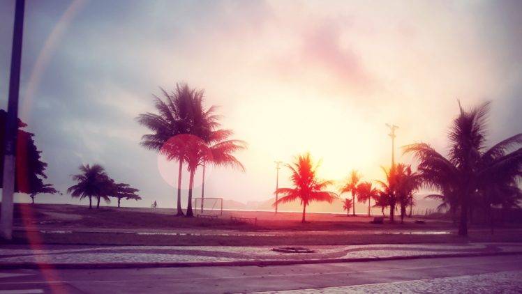 street, Sunlight, Palm trees, Trees, Beach, Lens flare, Filter HD Wallpaper Desktop Background