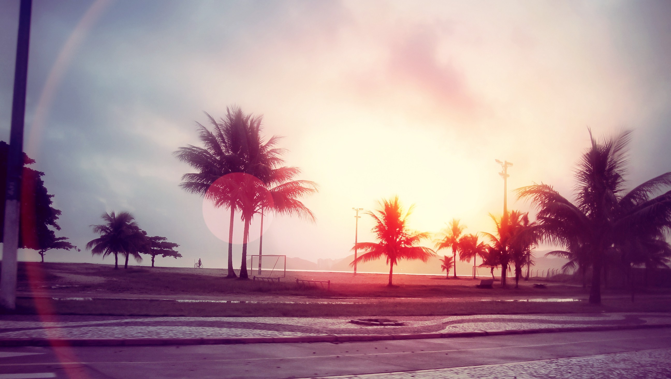street, Sunlight, Palm trees, Trees, Beach, Lens flare, Filter Wallpaper