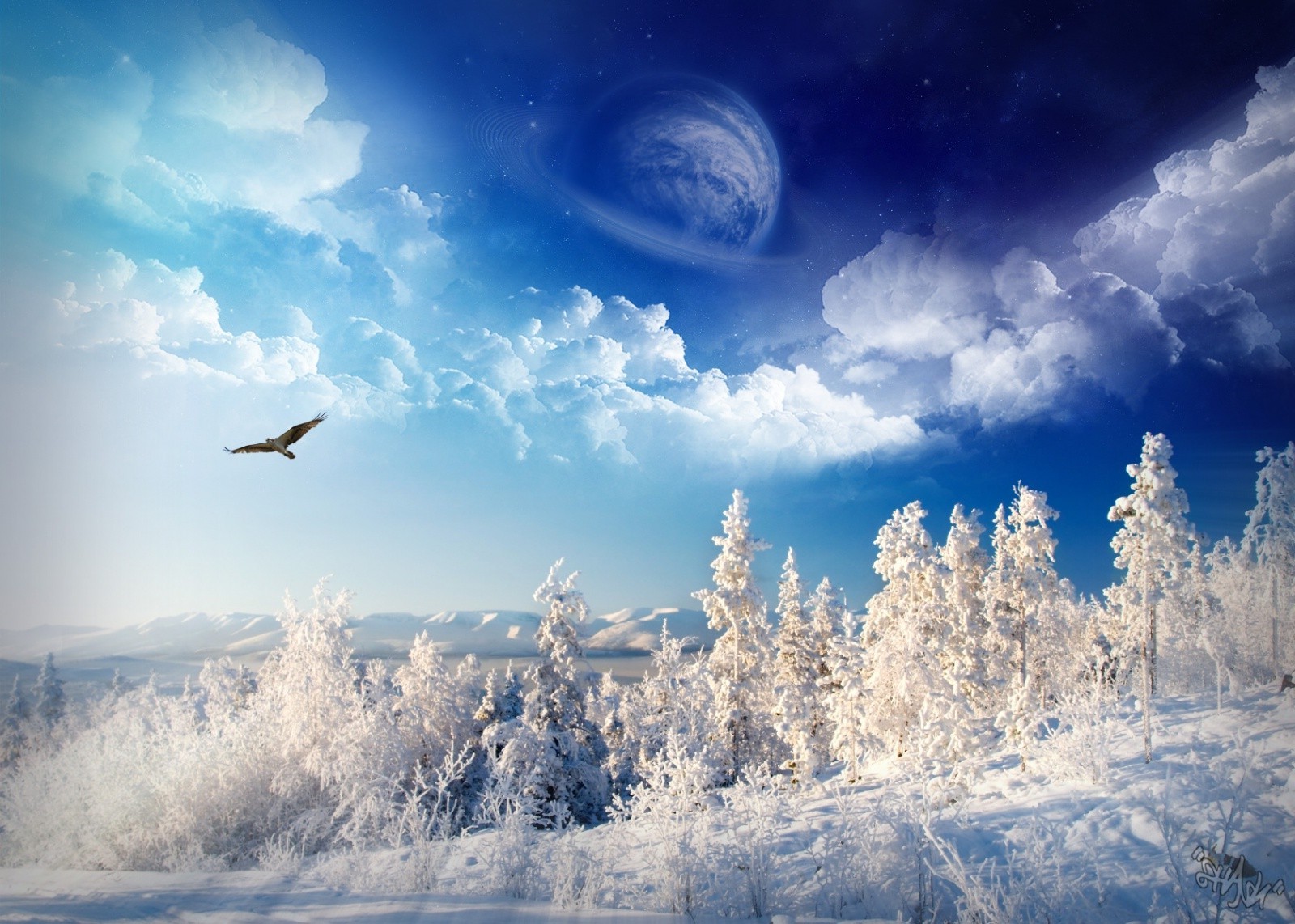 winter Wallpaper
