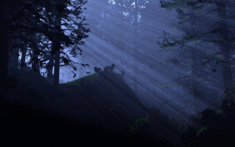 wolf, Forest, Moonlight HD Wallpaper Desktop Background