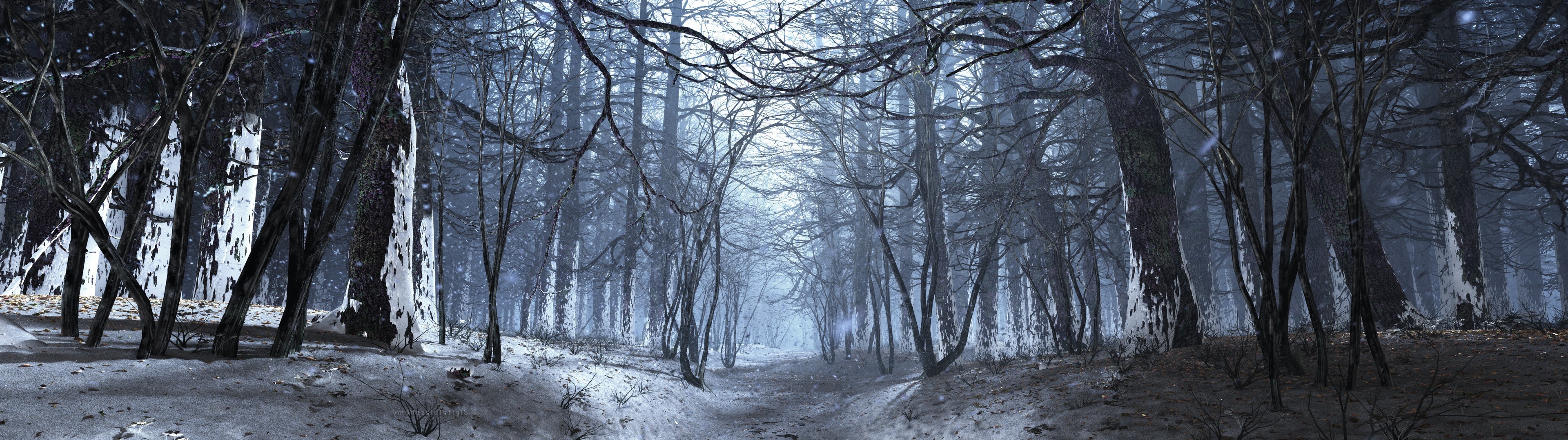 winter, Forest Wallpaper