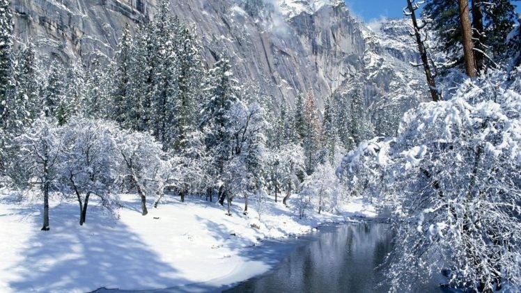 forest, Snow, Winter HD Wallpaper Desktop Background