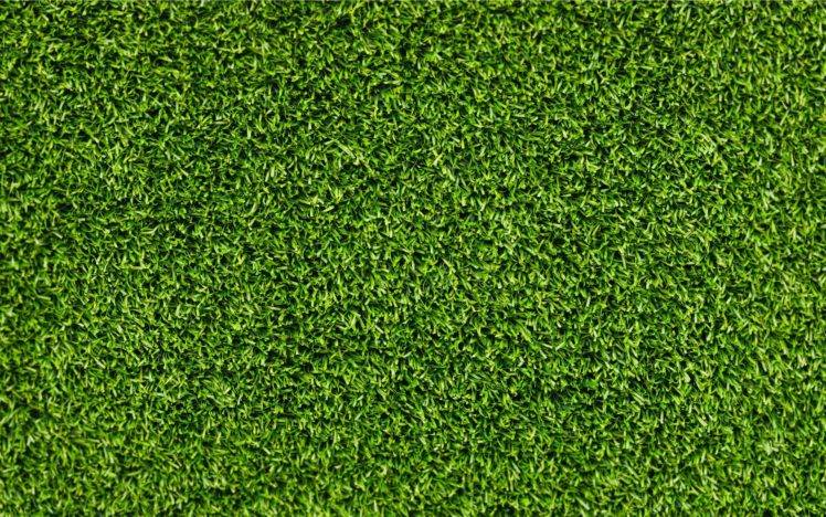 grass HD Wallpaper Desktop Background