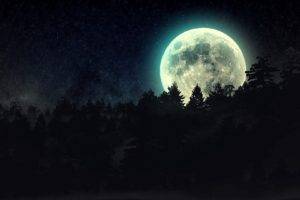 night, Moon, Forest, Stars