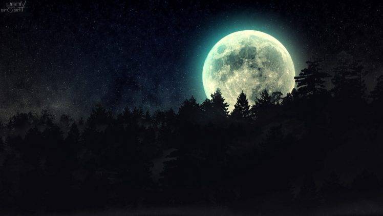 night, Moon, Forest, Stars HD Wallpaper Desktop Background