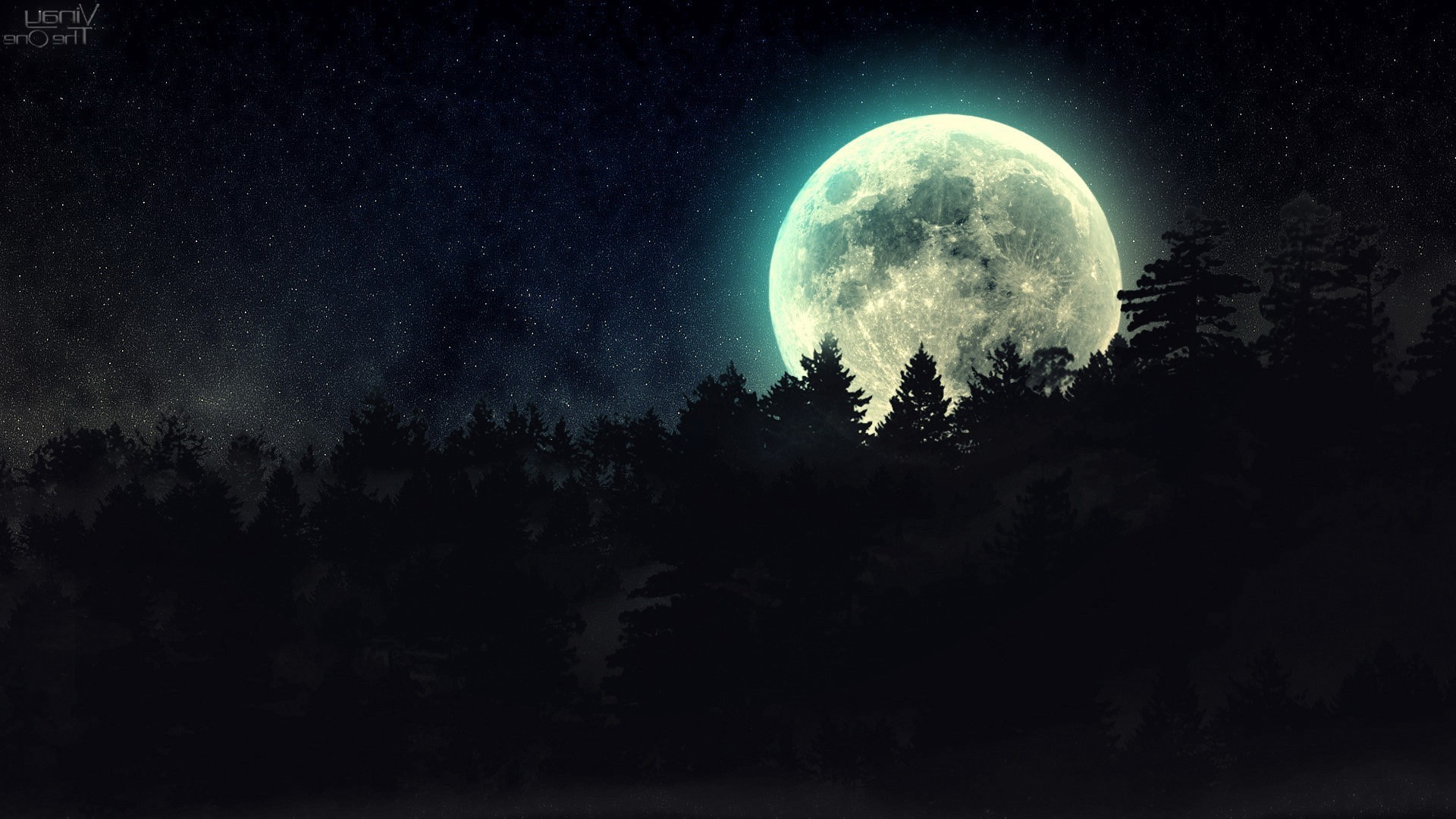 night, Moon, Forest, Stars Wallpaper