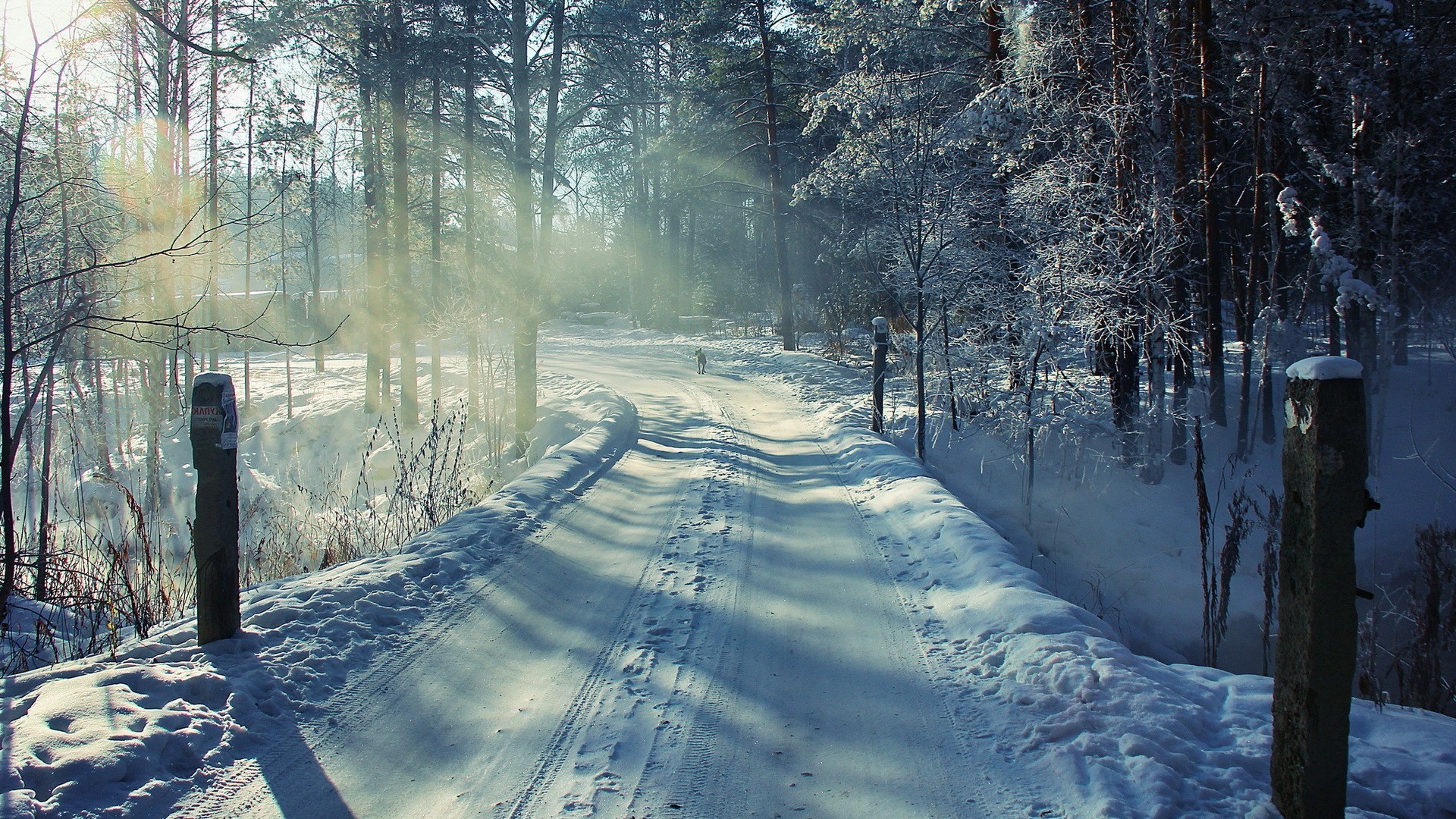 snow, Winter Wallpaper