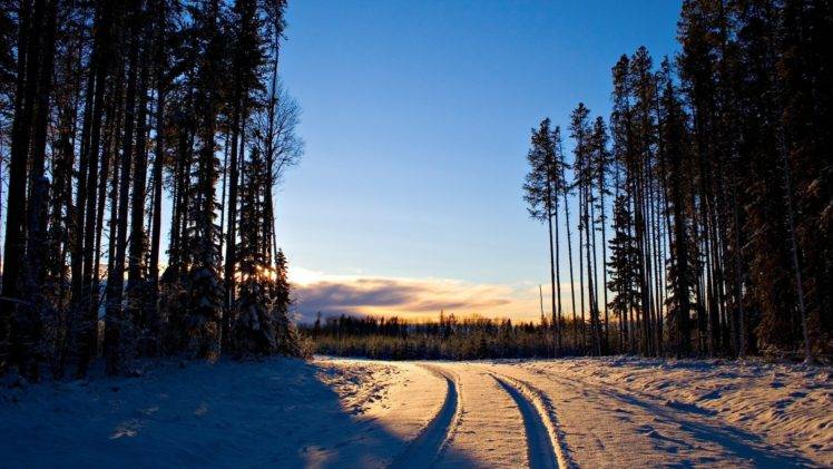 sunset, Forest, Winter, Snow HD Wallpaper Desktop Background