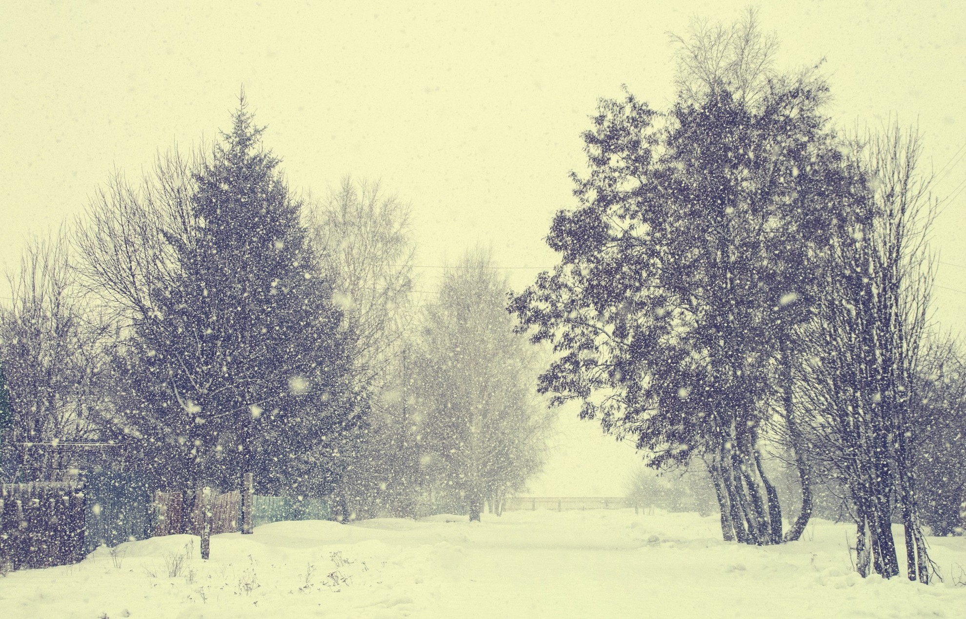winter Wallpaper
