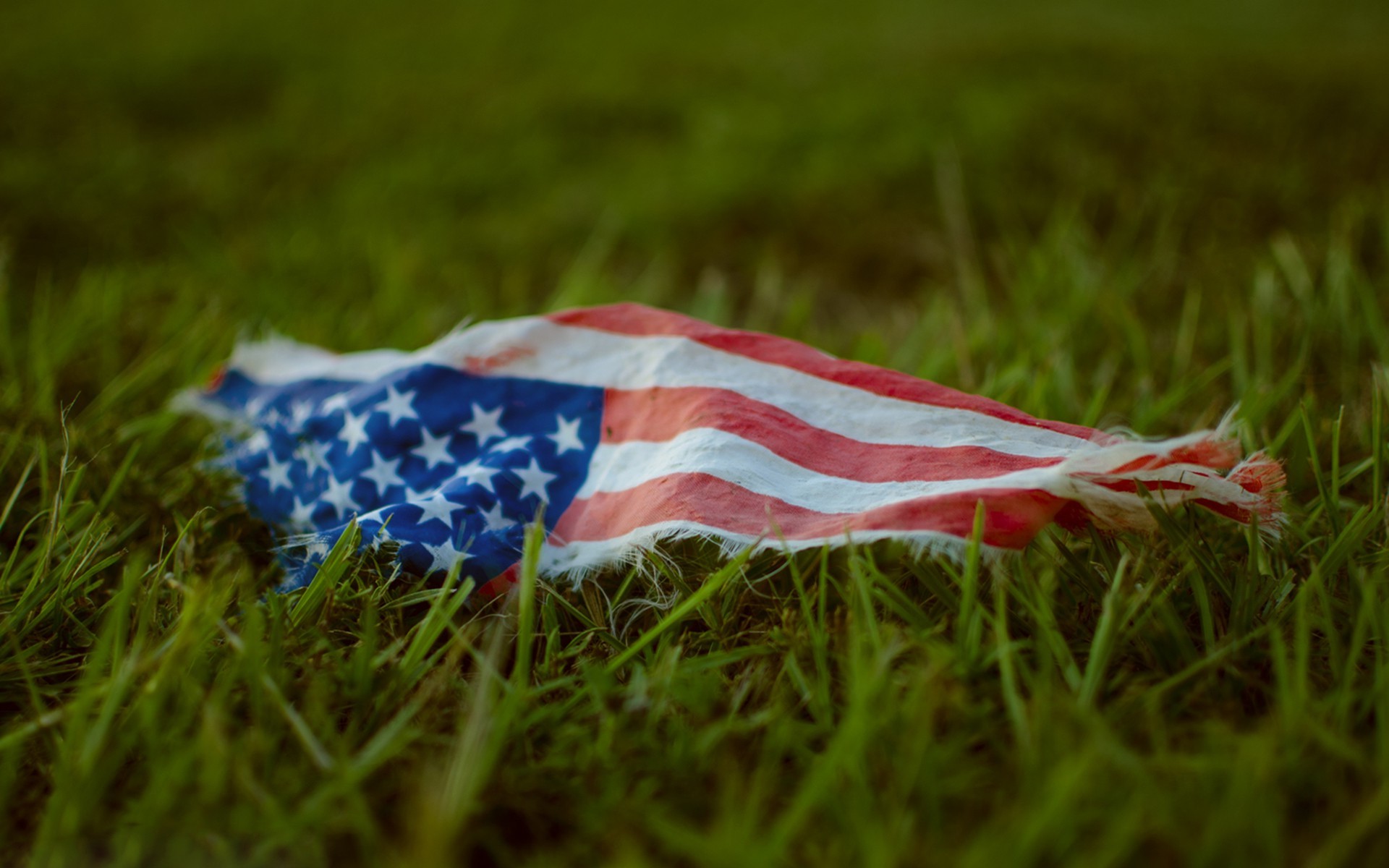 flag, Grass, American flag Wallpaper