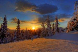 trees, Winter, Snow, Sunlight, Clouds