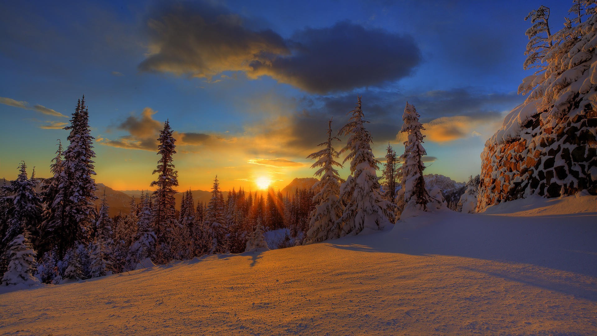 trees, Winter, Snow, Sunlight, Clouds Wallpaper