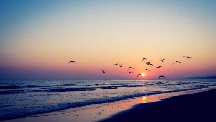 sunset, Sea, Beach HD Wallpaper Desktop Background