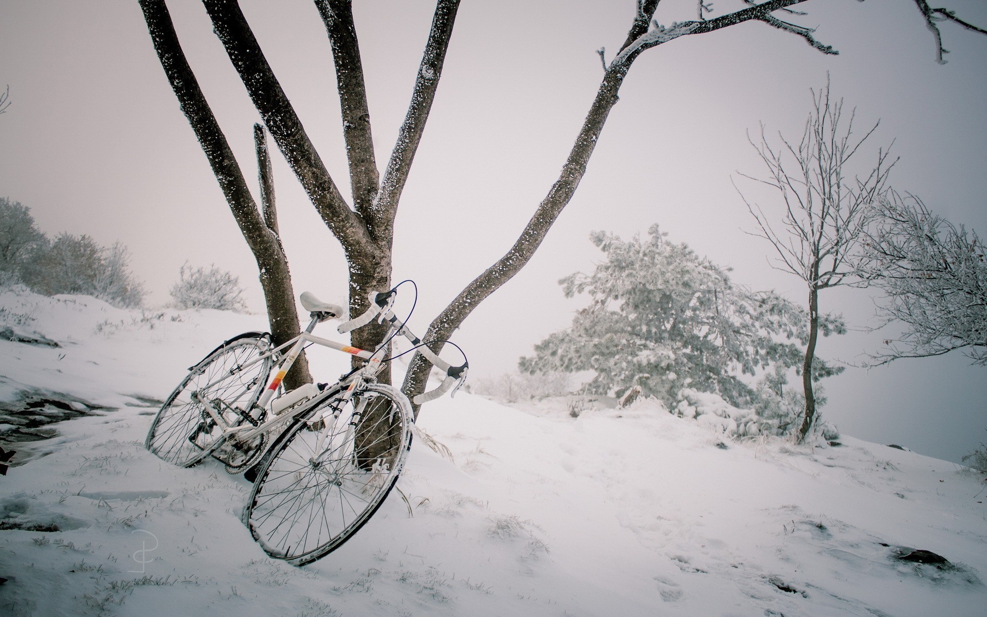 bicycle, Snow, Winter Wallpaper