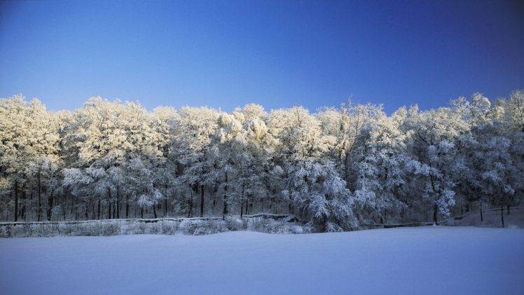 winter, Snow, Nature, Trees HD Wallpaper Desktop Background