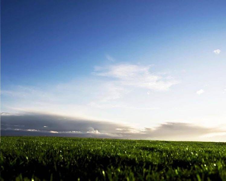 grass, Sky HD Wallpaper Desktop Background