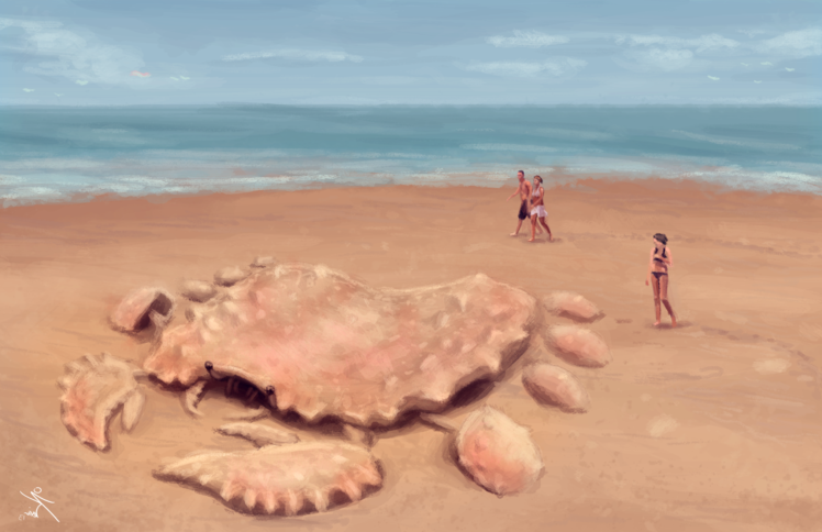 creature, Beach, Crabs, Sand HD Wallpaper Desktop Background