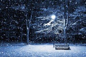 winter, Snow, Lantern, Cold, Trees