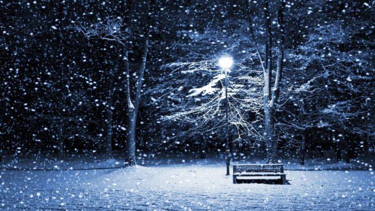 winter, Snow, Lantern, Cold, Trees HD Wallpaper Desktop Background