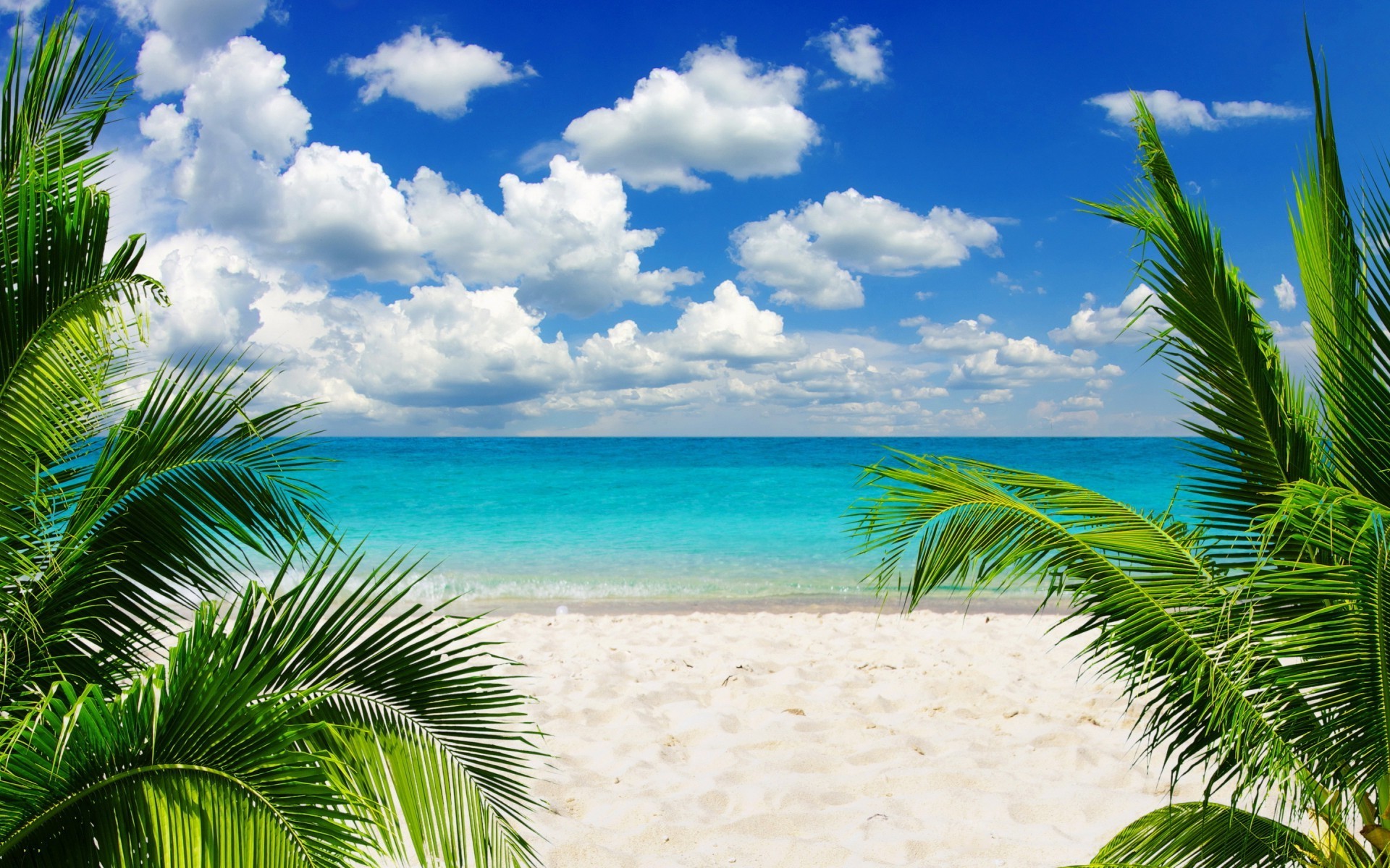 beach, Sand, Palm trees Wallpapers HD / Desktop and Mobile Backgrounds
