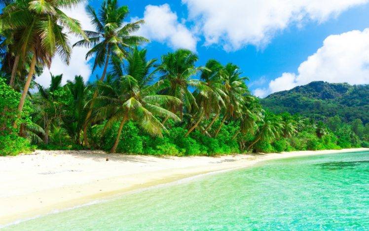 beach, Sand, Palm trees HD Wallpaper Desktop Background