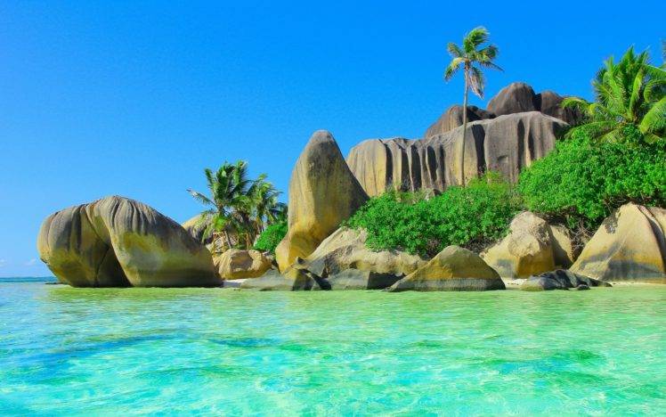 beach, Sand, Palm trees, Stones HD Wallpaper Desktop Background