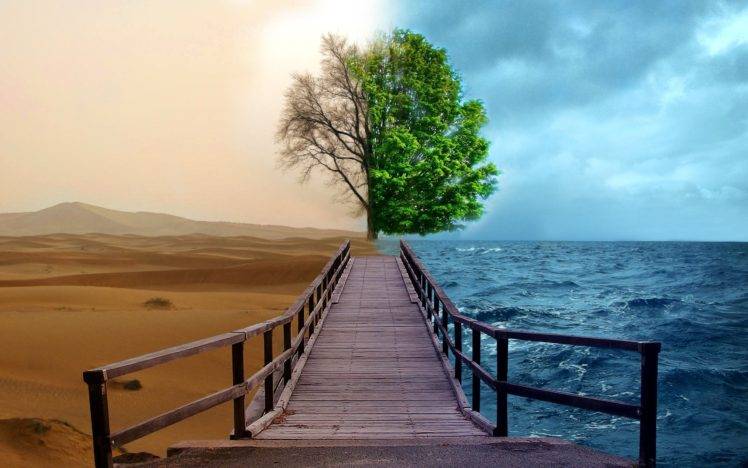 desert, Sea, Trees, Pier, Splitting HD Wallpaper Desktop Background
