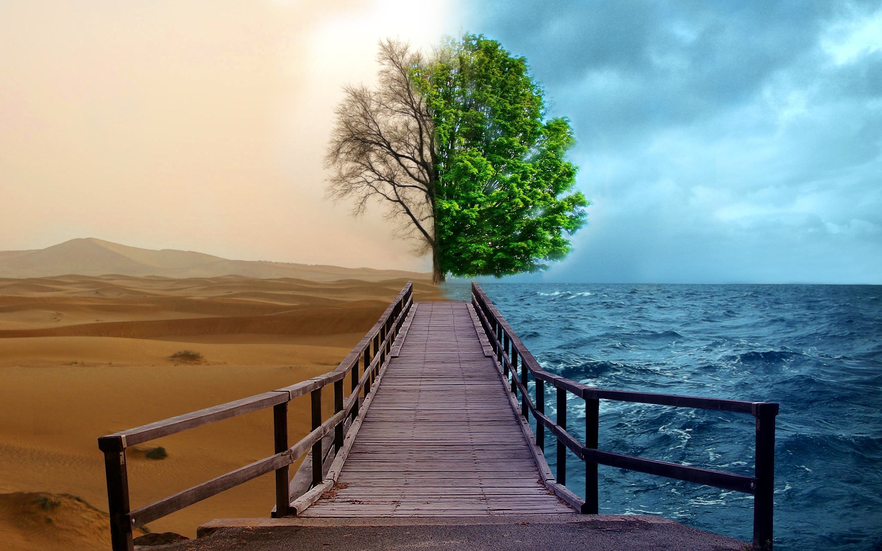 desert, Sea, Trees, Pier, Splitting Wallpaper