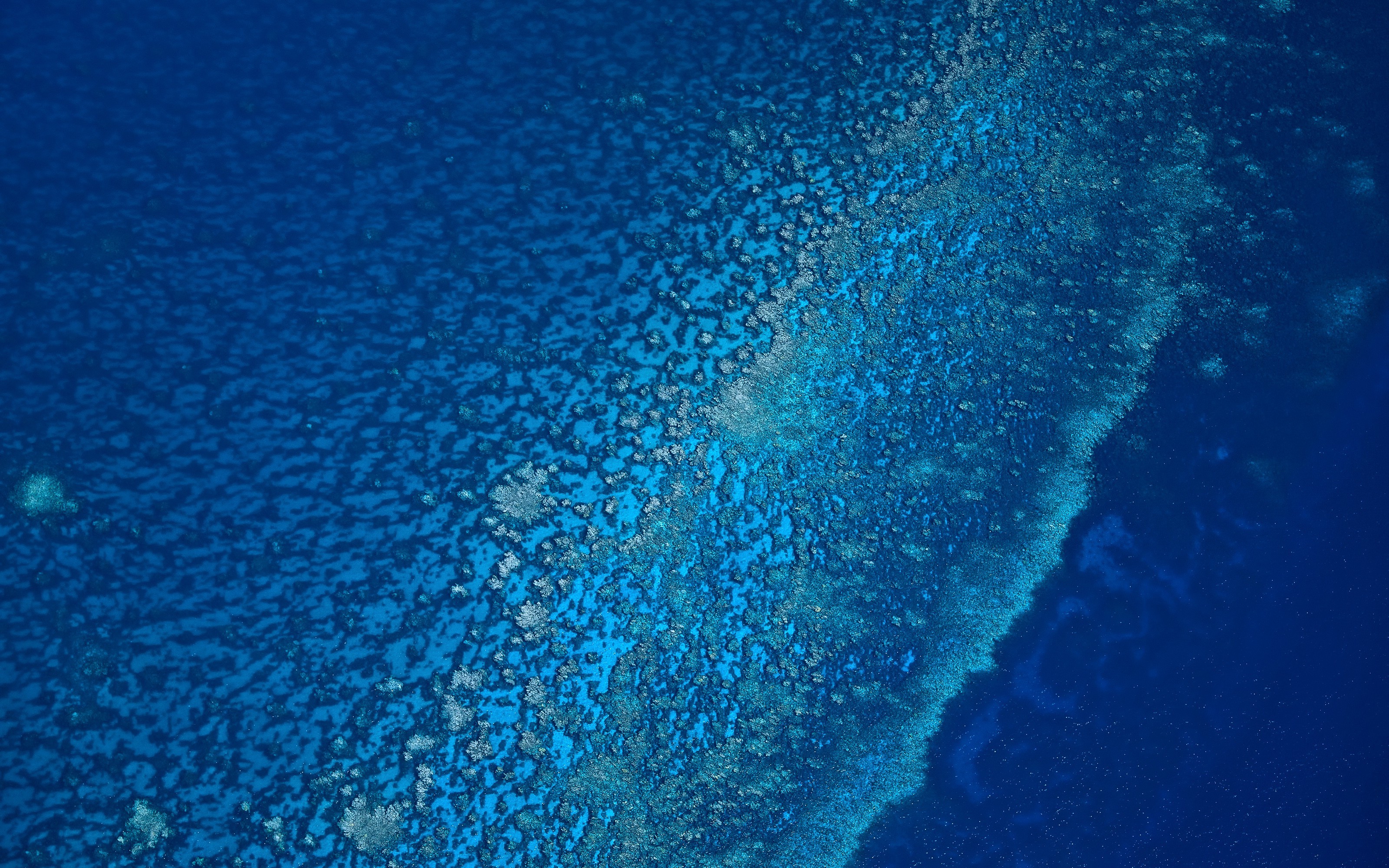 sea Wallpaper