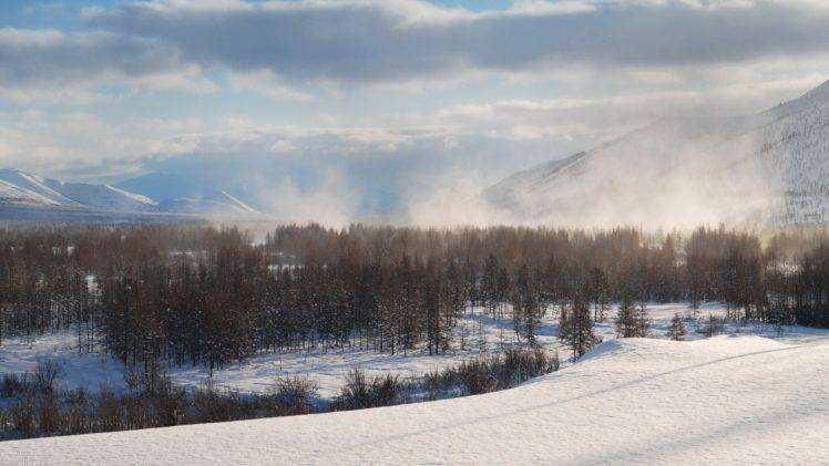 winter, Forest, Mountain, Mist, Snow, Trees HD Wallpaper Desktop Background