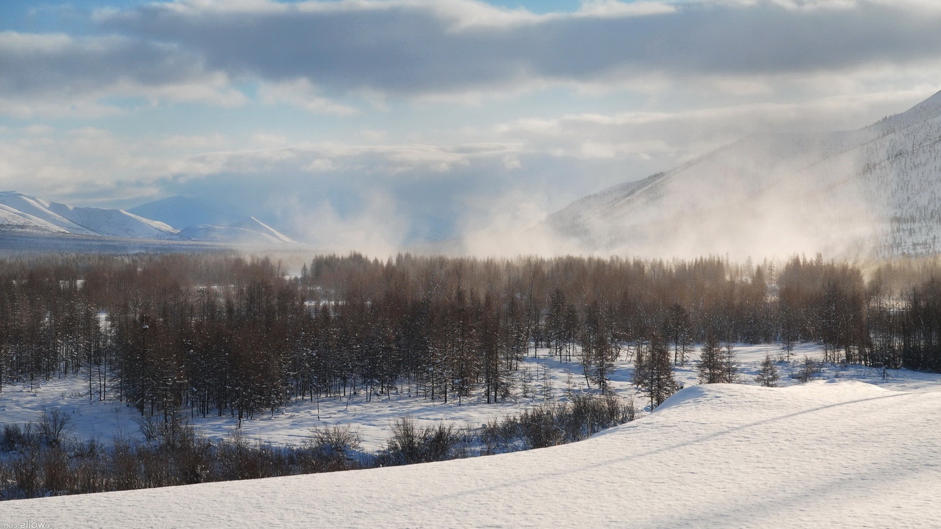 winter, Forest, Mountain, Mist, Snow, Trees Wallpaper