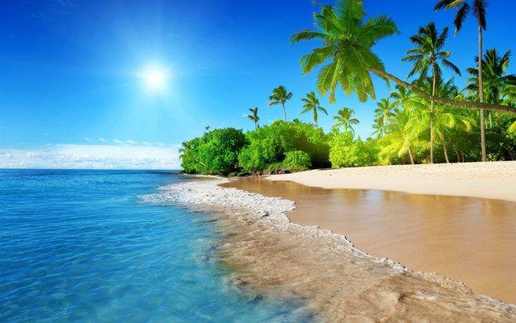 beach, Palm trees HD Wallpaper Desktop Background
