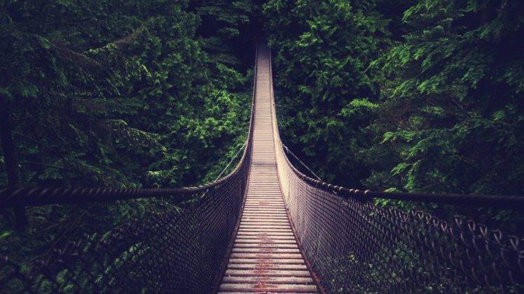 bridge, Forest HD Wallpaper Desktop Background