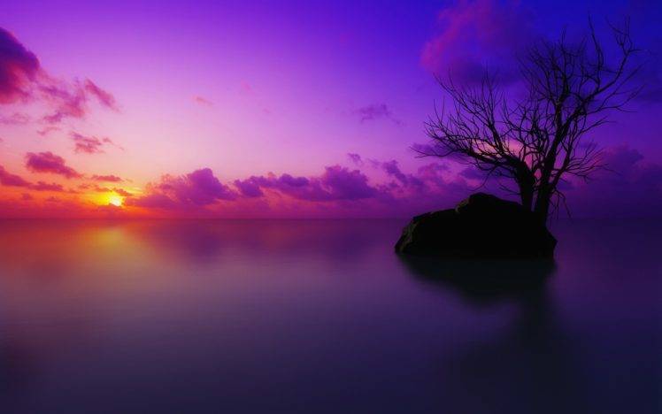 sea, Water, Sunset, Trees HD Wallpaper Desktop Background