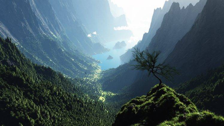 forest, Valley, Trees, Water HD Wallpaper Desktop Background