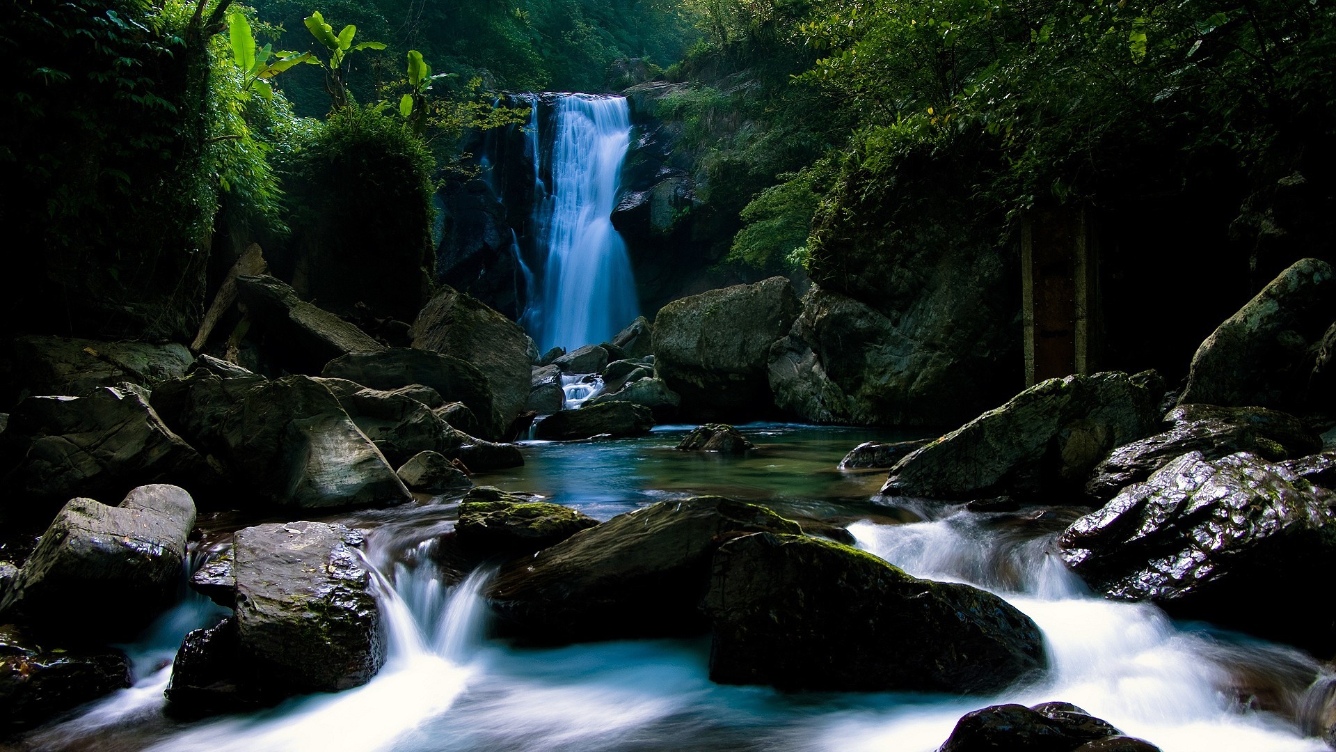 water, Forest, Trees, Waterfall Wallpaper