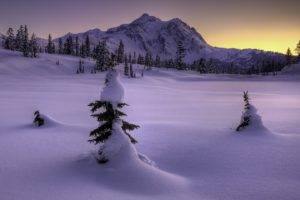 cold, Snow, Mountain, Trees, Sunset