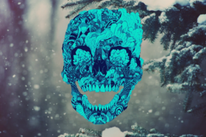skull, Forest