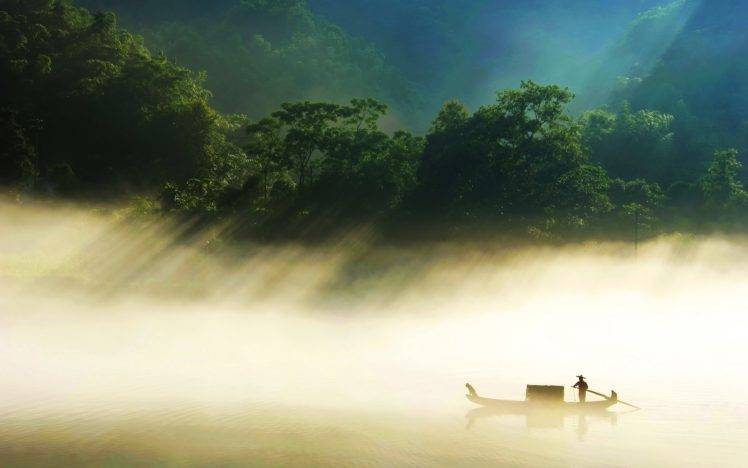 forest, Boat, Mist, Reflection, Sunlight, Trees HD Wallpaper Desktop Background