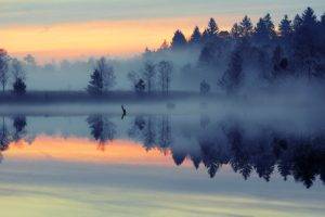 water, Mist, Trees, Reflection, Forest, Sunrise