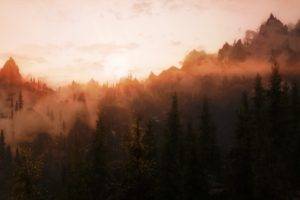 mist, Trees, Forest, Sunset, Mountain