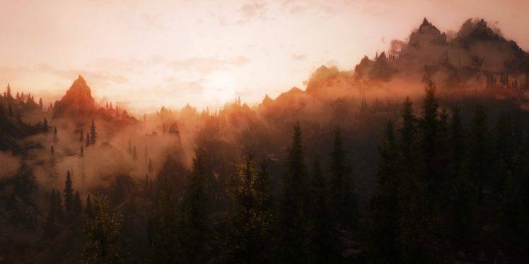 mist, Trees, Forest, Sunset, Mountain HD Wallpaper Desktop Background