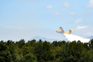airplane, Forest, Firefighting aircraft