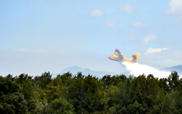 airplane, Forest, Firefighting aircraft HD Wallpaper Desktop Background
