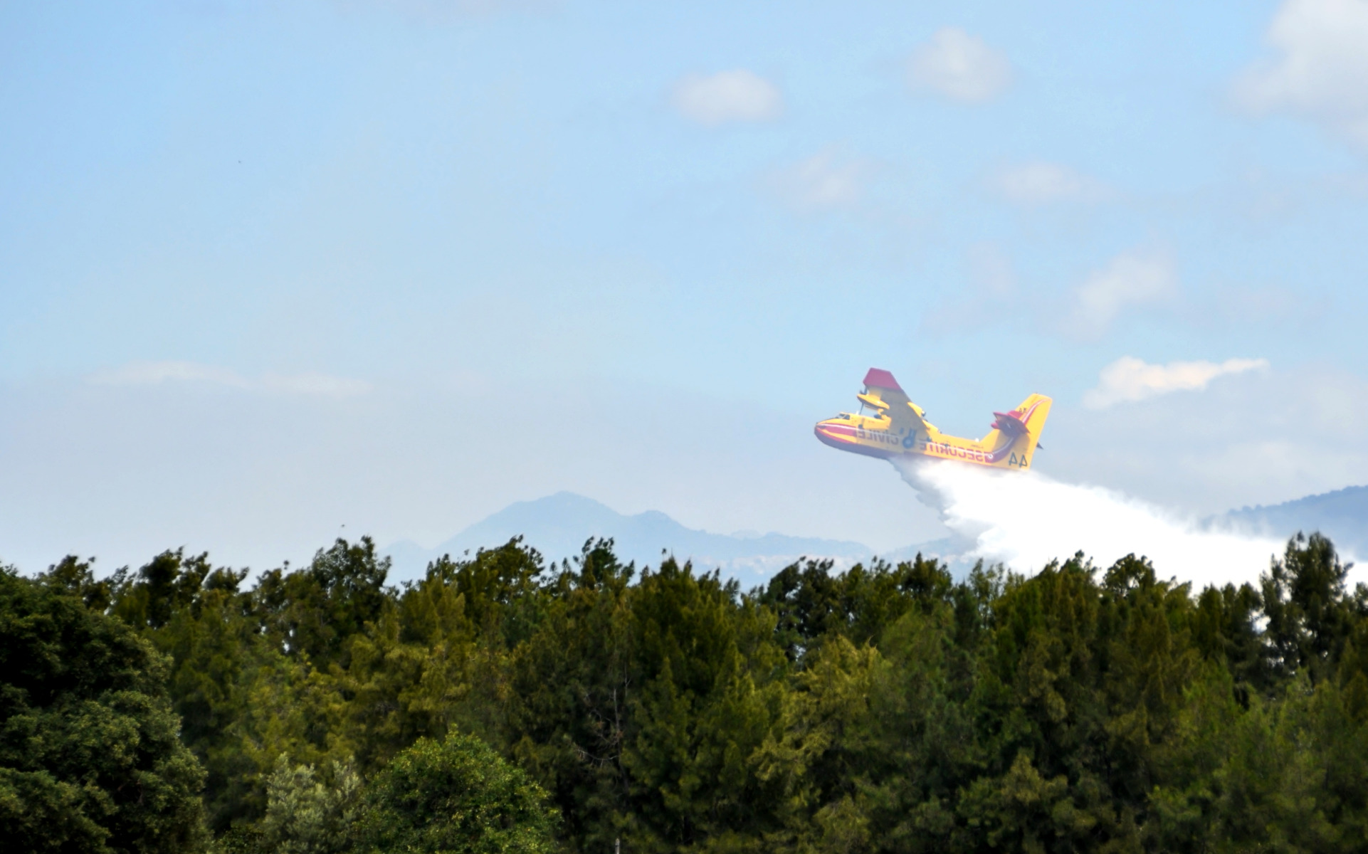 airplane, Forest, Firefighting aircraft Wallpaper