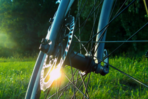 reflection, Sunlight, Grass, Bicycle, Mountain bikes