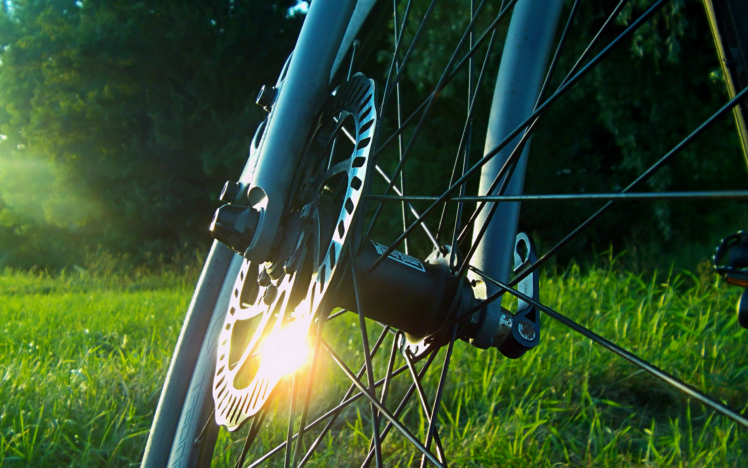 reflection, Sunlight, Grass, Bicycle, Mountain bikes HD Wallpaper Desktop Background