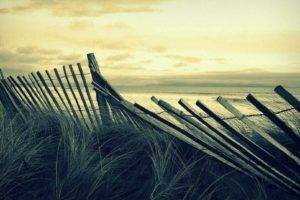 fence, Sea, Grass, Sky