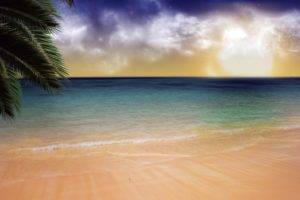 beach, Sand, Palm trees